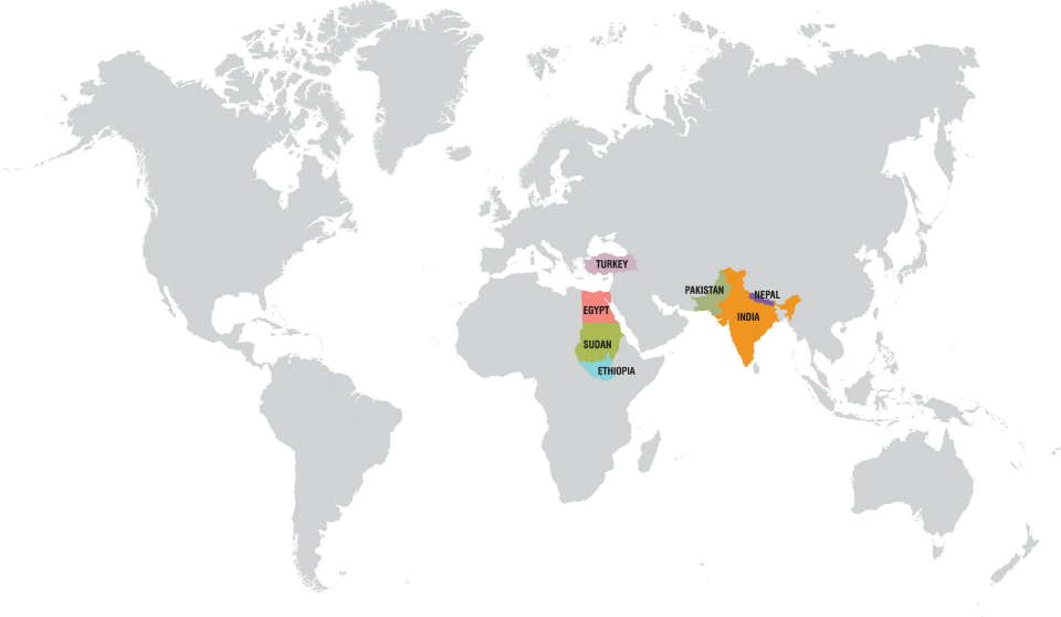 export network map 2
